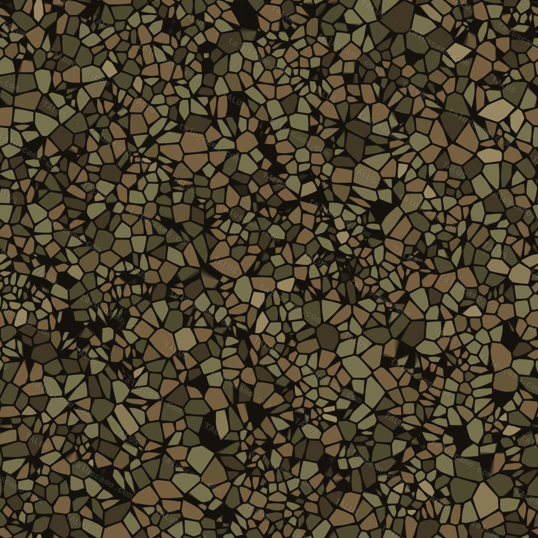 SALMON pattern